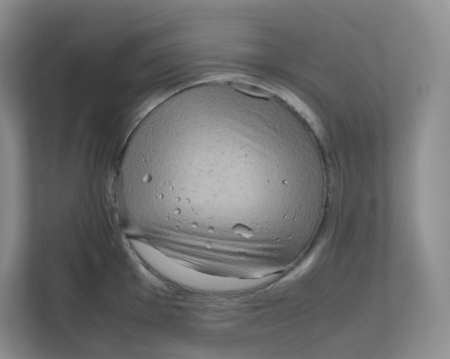 X0000111191001200907291200