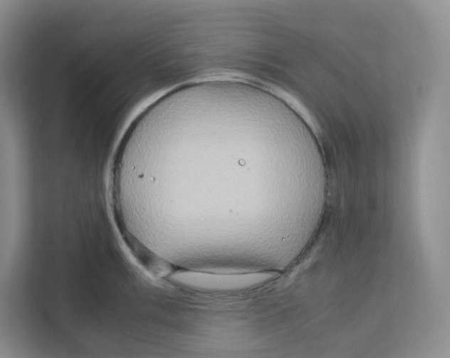 X0000111191003200907291159