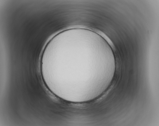 X0000111191004200907291159