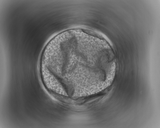 X0000111191007200907291159