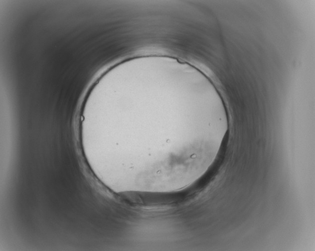 X0000111191008200907291159