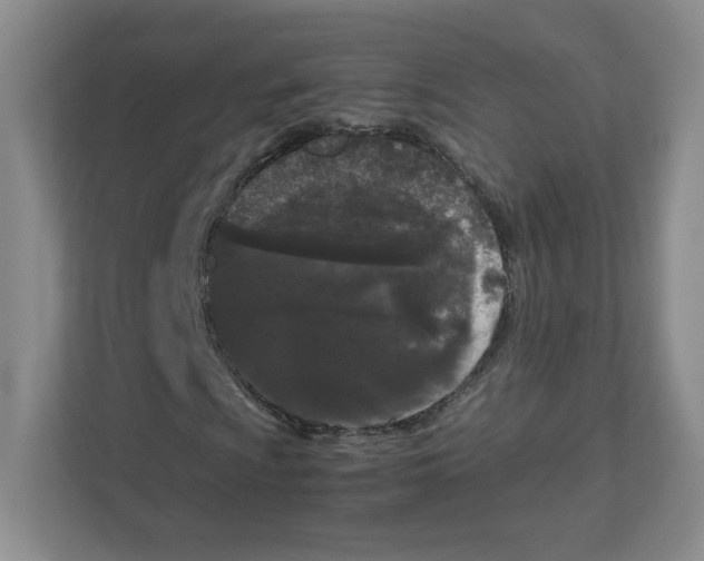 X0000111191009200907291159