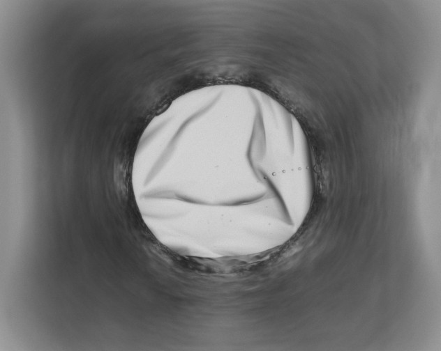 X0000111191010200907291159
