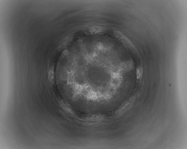 X0000111191011200907291159