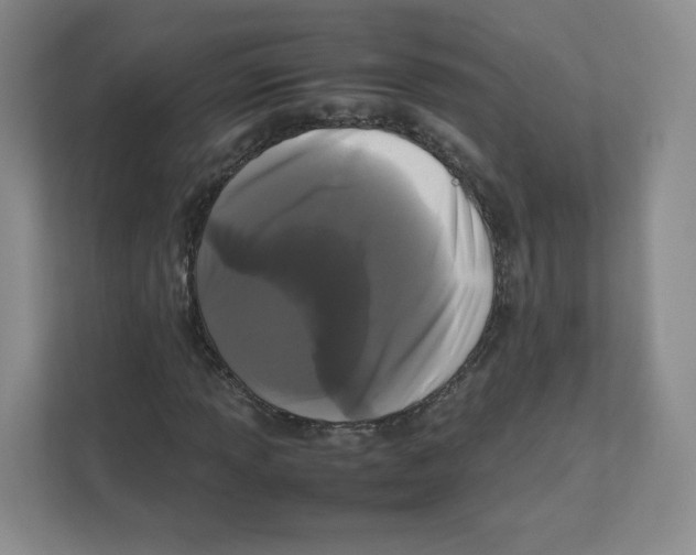 X0000111191013200907291159