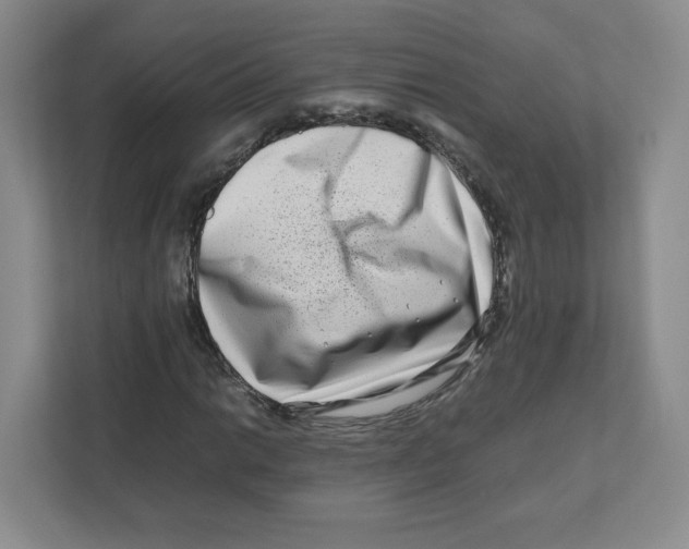 X0000111191014200907291159