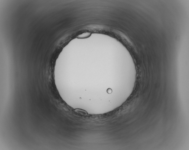 X0000111191016200907291159