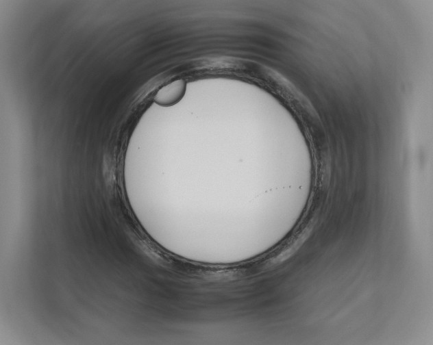 X0000111191017200907291159