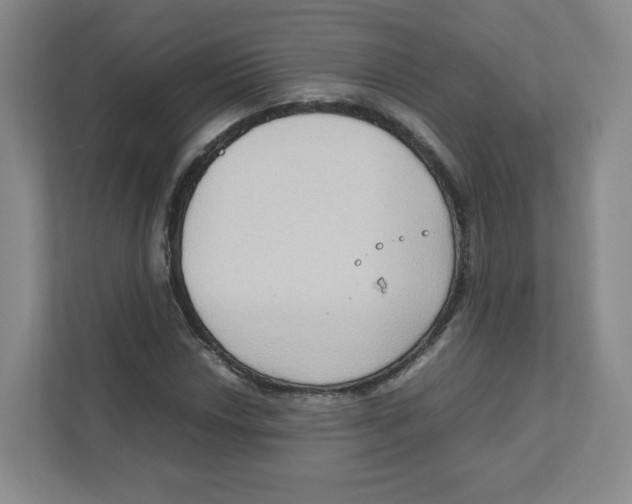 X0000111191018200907291159