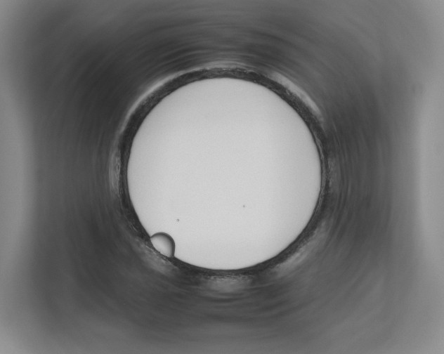 X0000111191021200907291159