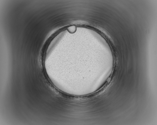 X0000111191022200907291159