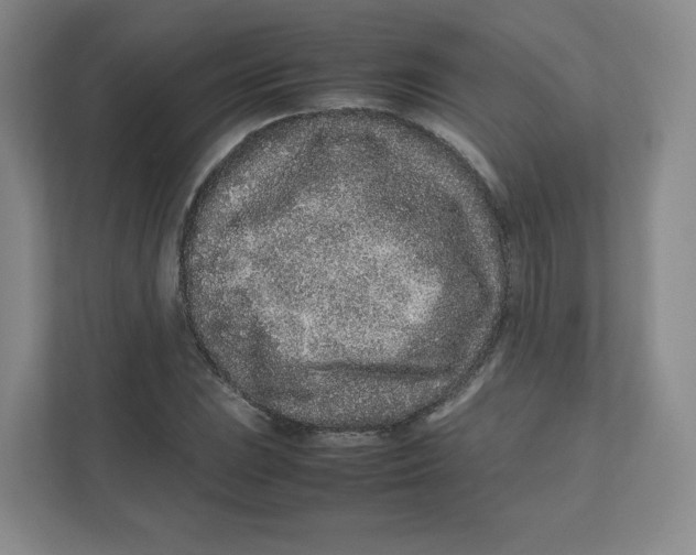 X0000111191023200907291159