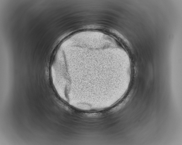 X0000111191025200907291159