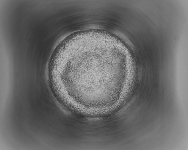 X0000111191031200907291159