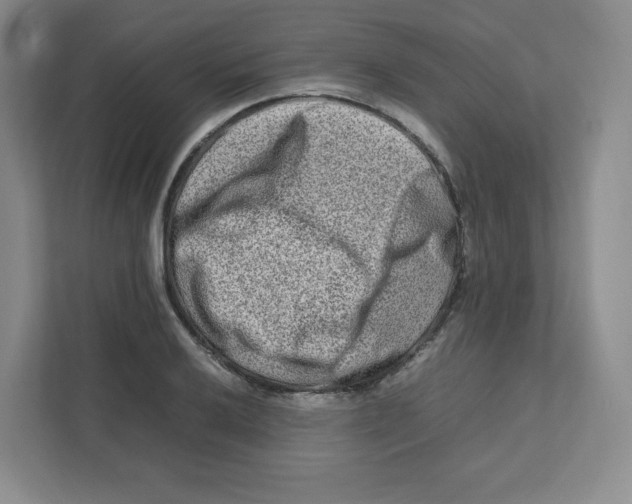 X0000111191032200907291159
