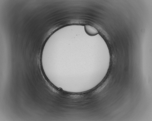 X0000111191033200907291159