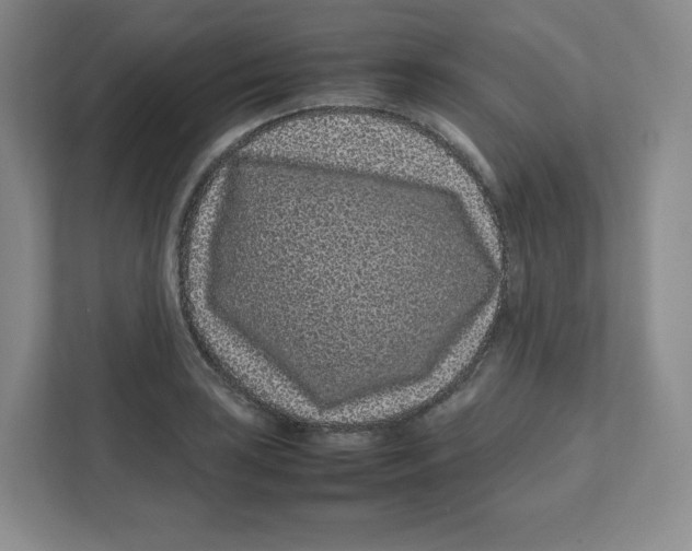 X0000111191035200907291159