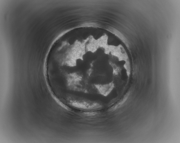 X0000111191037200907291159