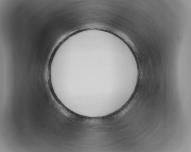 X0000111191040200907291159