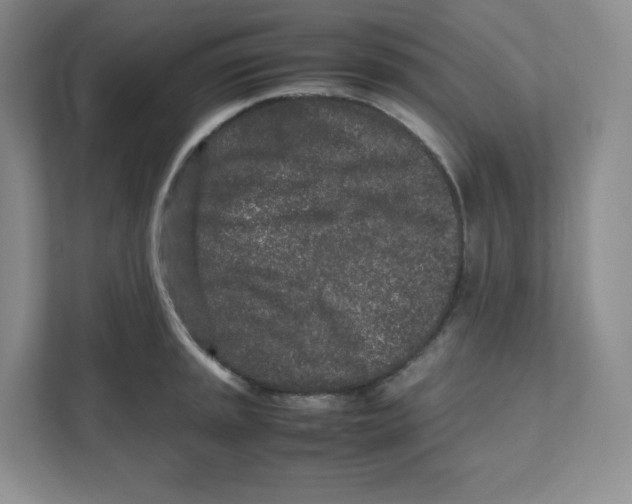X0000111191045200907291159