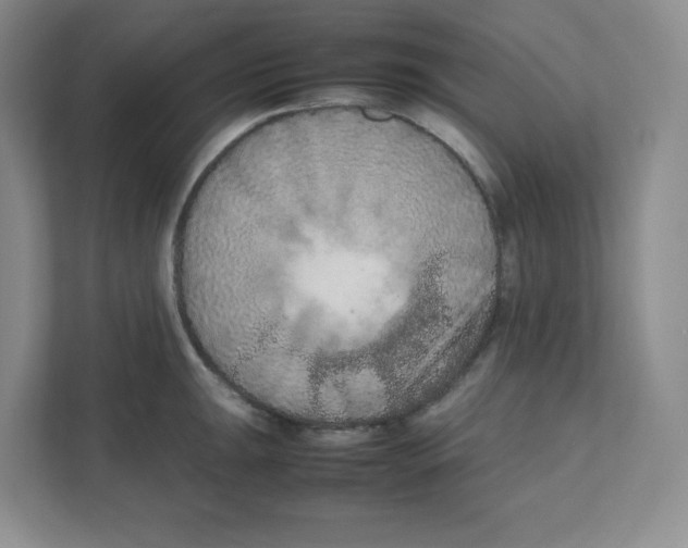 X0000111191047200907291159
