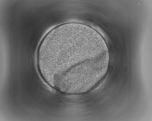 X0000111191048200907291159