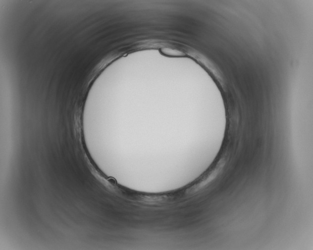 X0000111191049200907291159