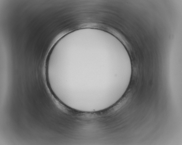 X0000111191050200907291159