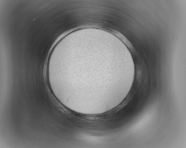 X0000111191052200907291159