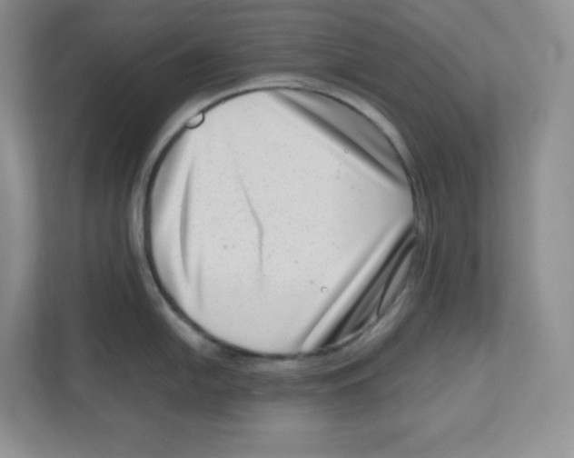 X0000111191054200907291159