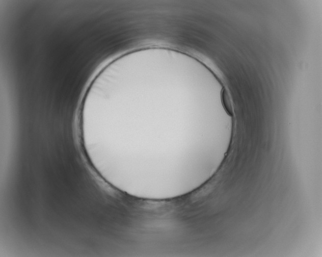 X0000111191056200907291159