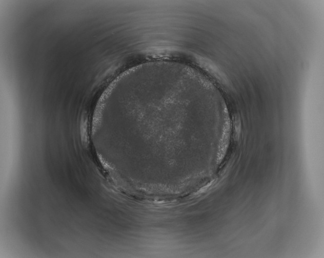 X0000111191060200907291159