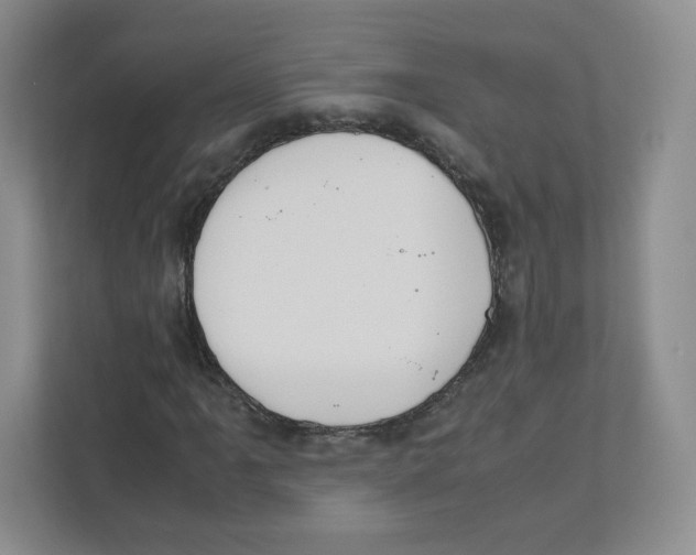 X0000111191061200907291159