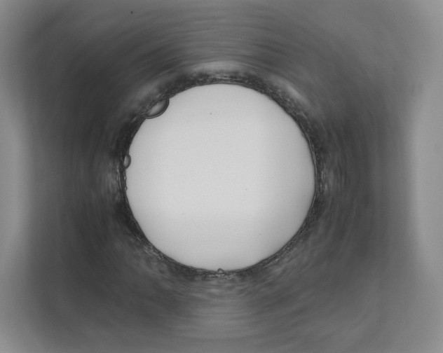 X0000111191062200907291159