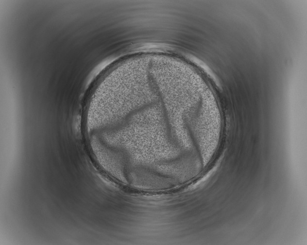 X0000111191066200907291159