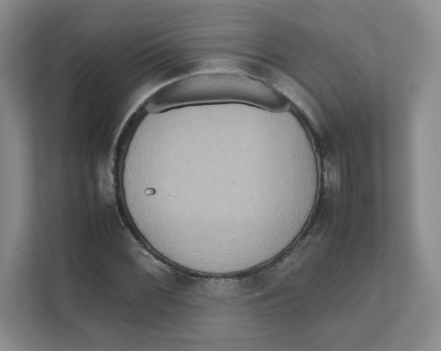 X0000111191068200907291159