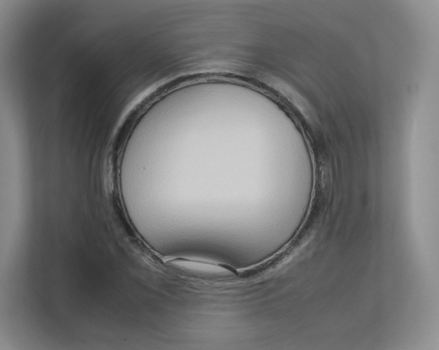 X0000111191069200907291159