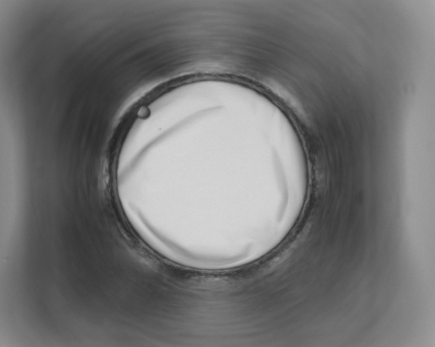 X0000111191070200907291159