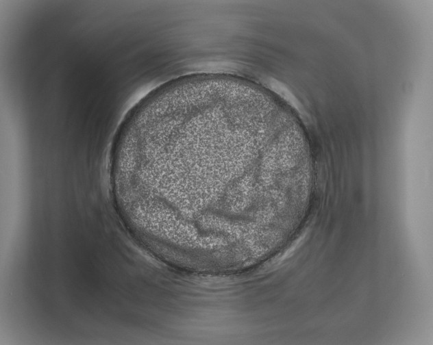X0000111191071200907291159