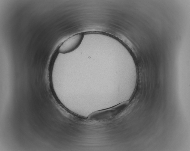X0000111191072200907291159