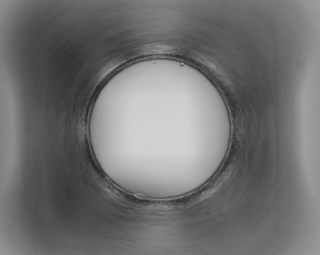 X0000111191073200907291159