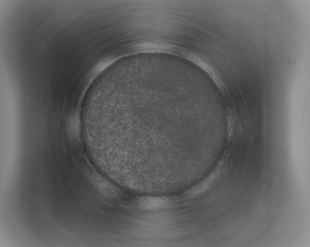 X0000111191074200907291159