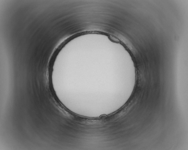 X0000111191076200907291159