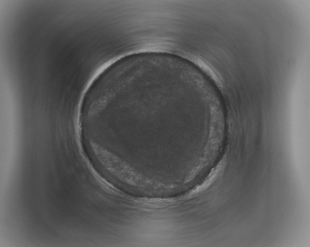 X0000111191077200907291159