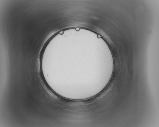 X0000111191079200907291158