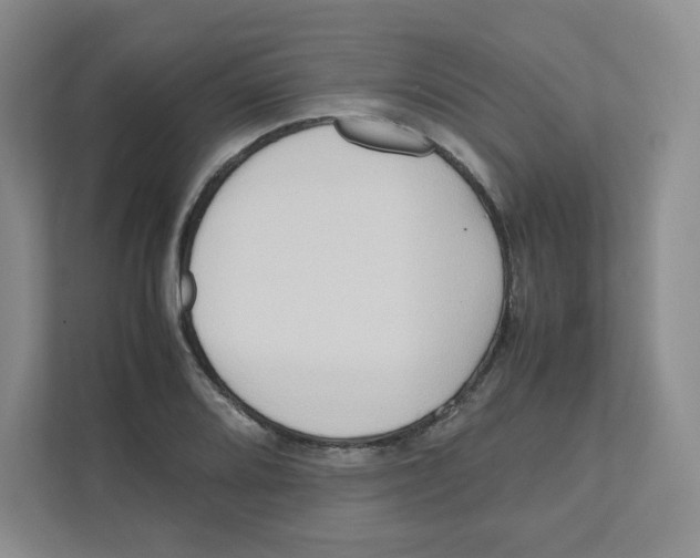X0000111191080200907291158