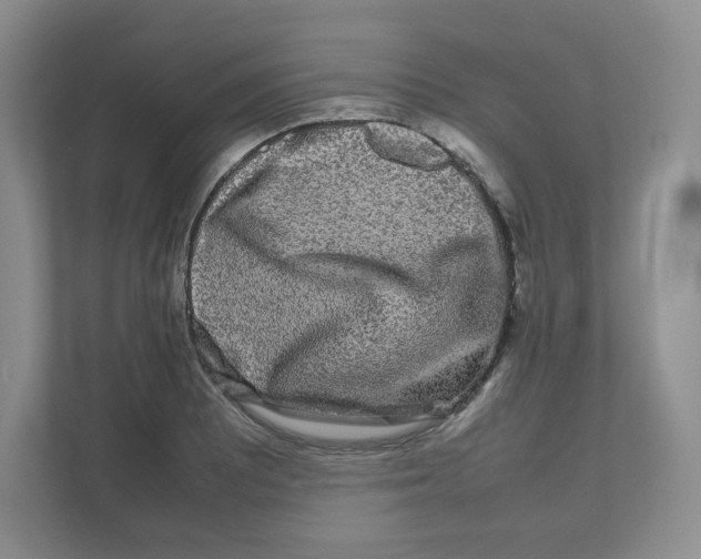 X0000111191081200907291158