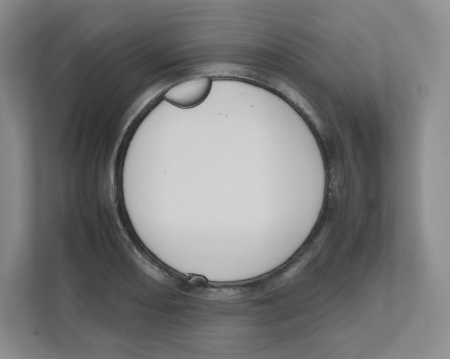 X0000111191082200907291158