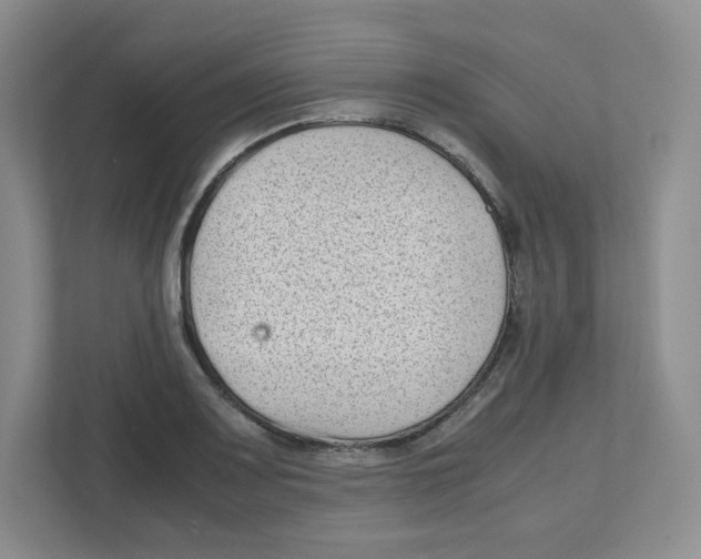 X0000111191083200907291158