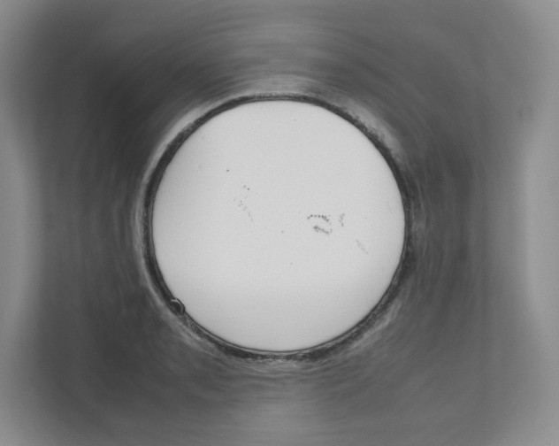 X0000111191085200907291158